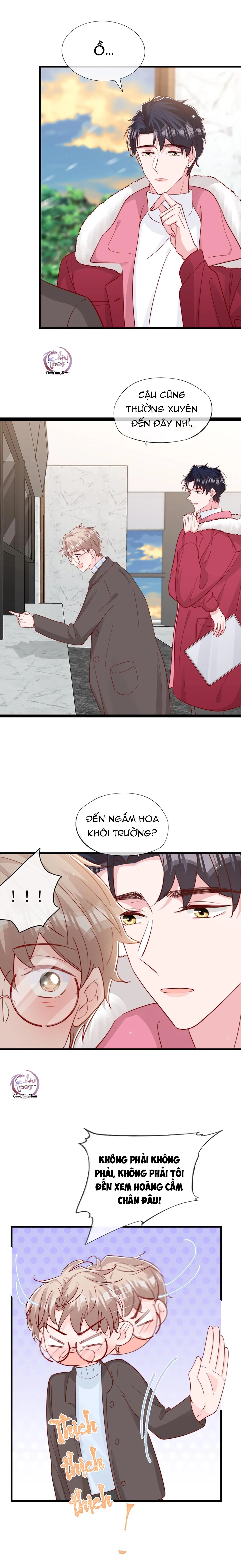 Quả Chanh Và Tia Chớp (END) Chapter 56 Trang 14