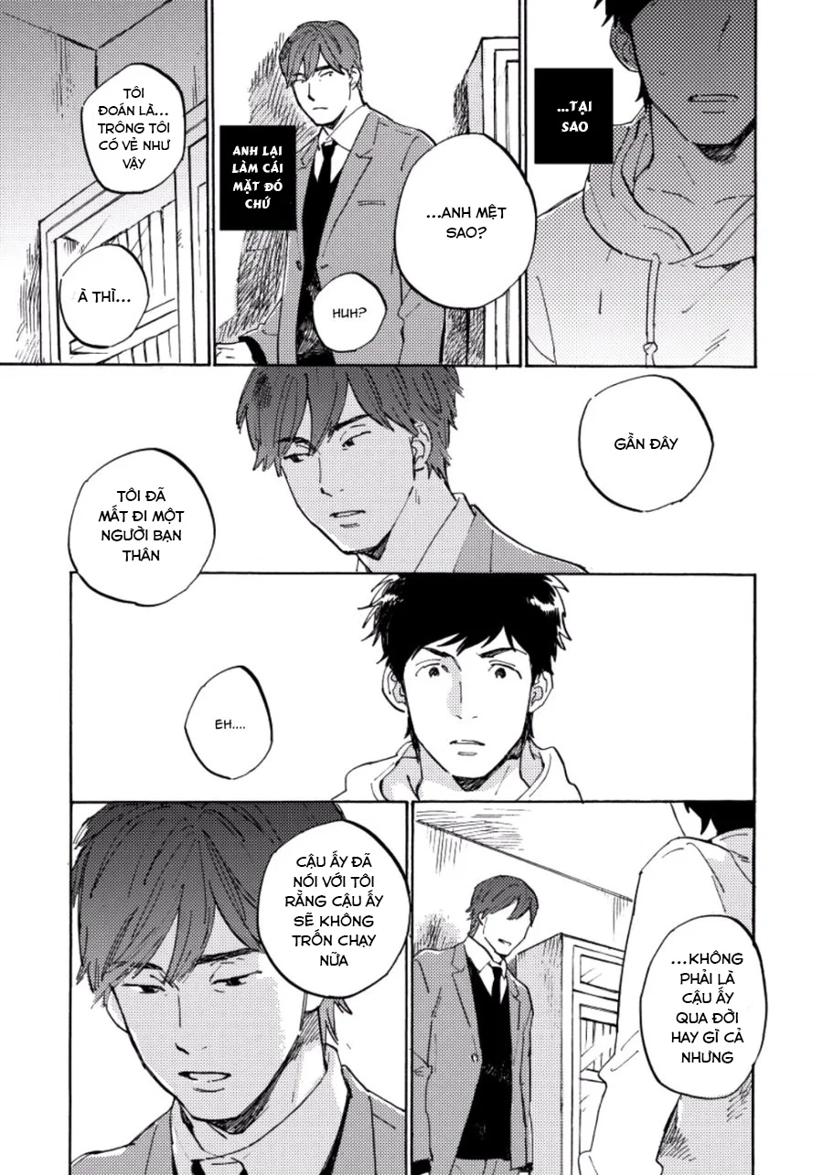 Quá trình của tình yêu phi Platon Chapter 5 Trang 10