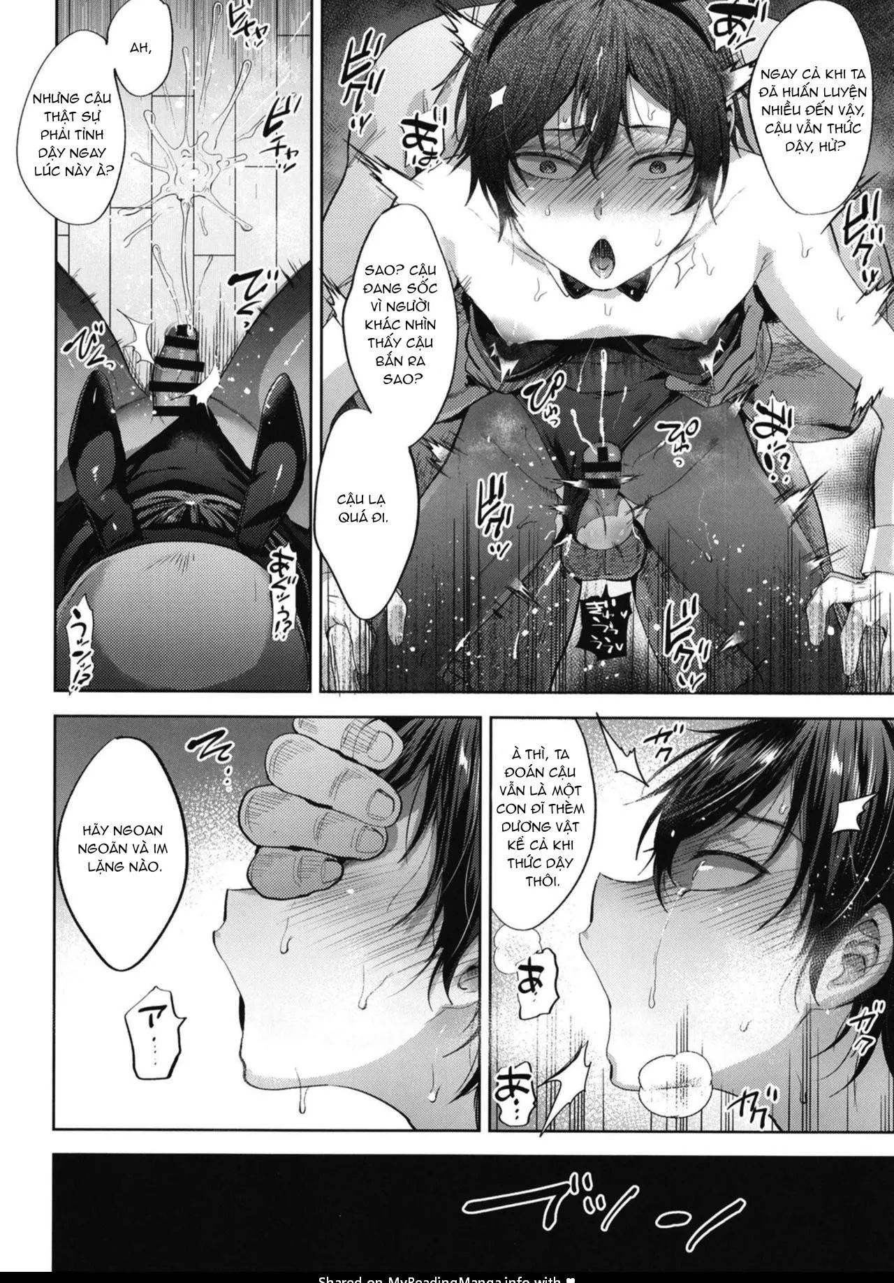 Quá trình thuần hoá loài người Chapter 28 Trang 15