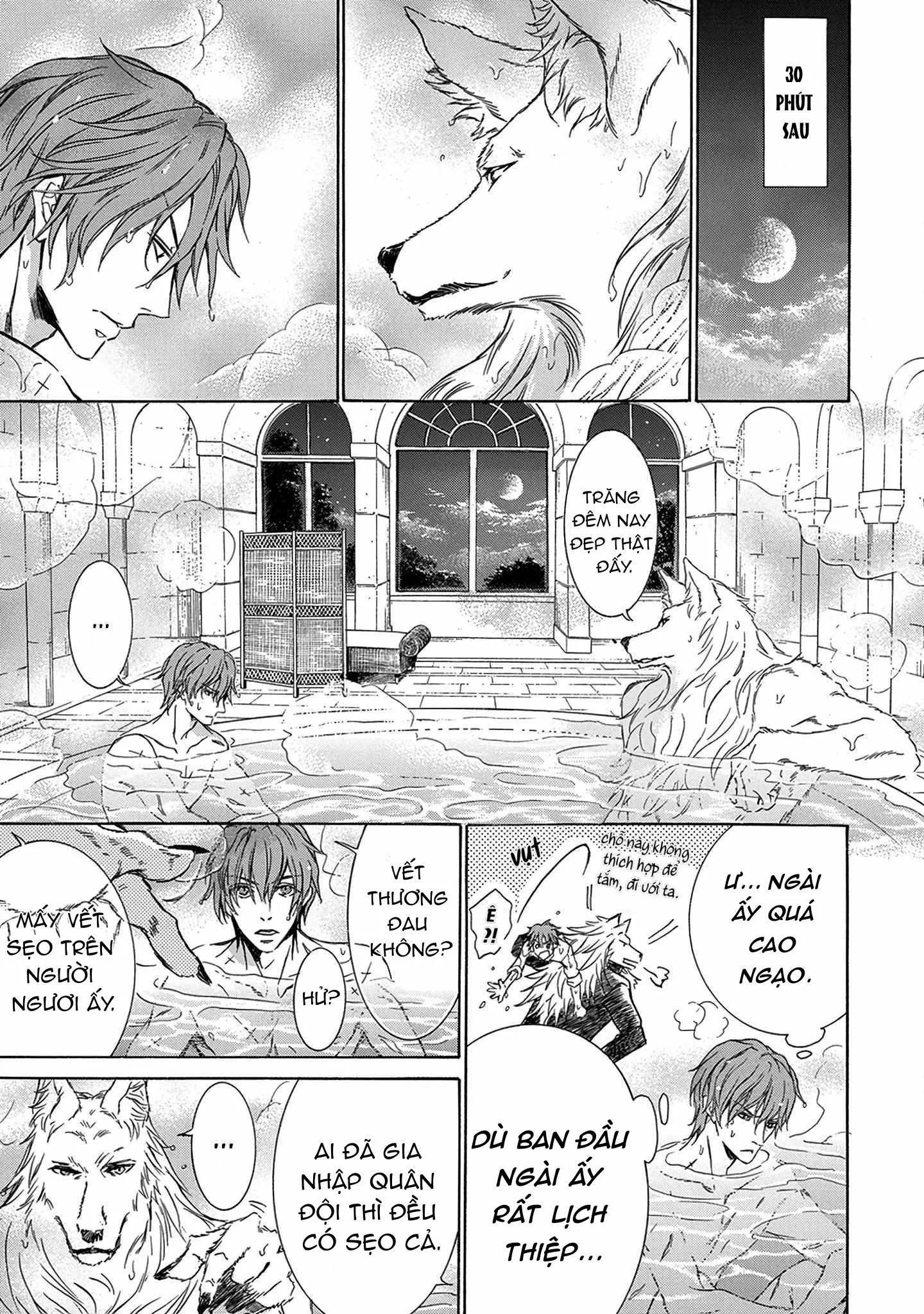 Quái thú không thể tách rời Chapter 3 Trang 13