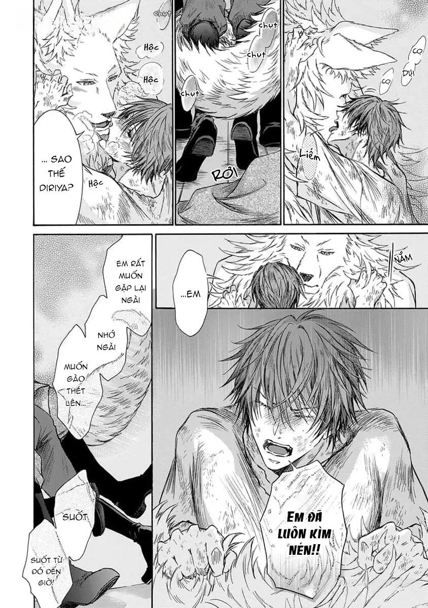 Quái thú không thể tách rời Chapter 11 Trang 12