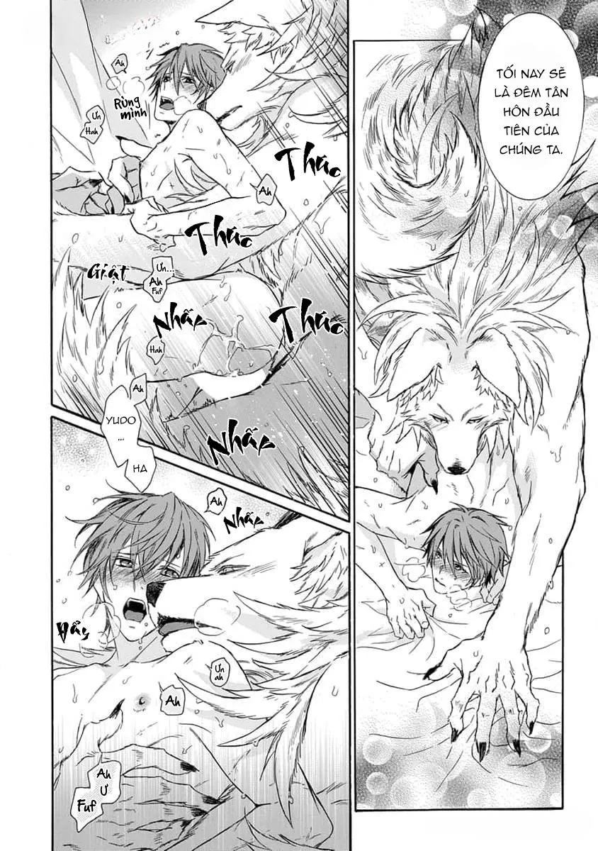 Quái thú không thể tách rời Chapter 14 Trang 13