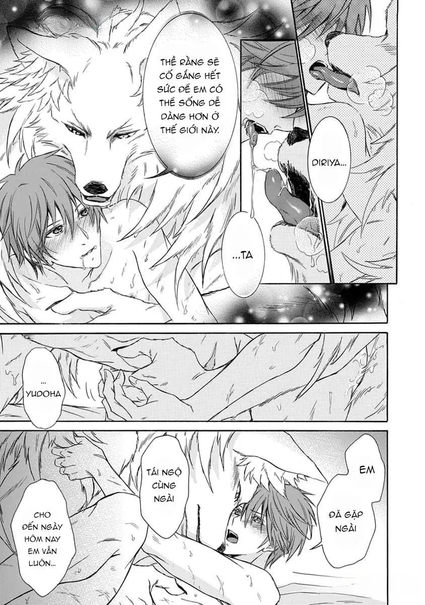 Quái thú không thể tách rời Chapter 14 Trang 14