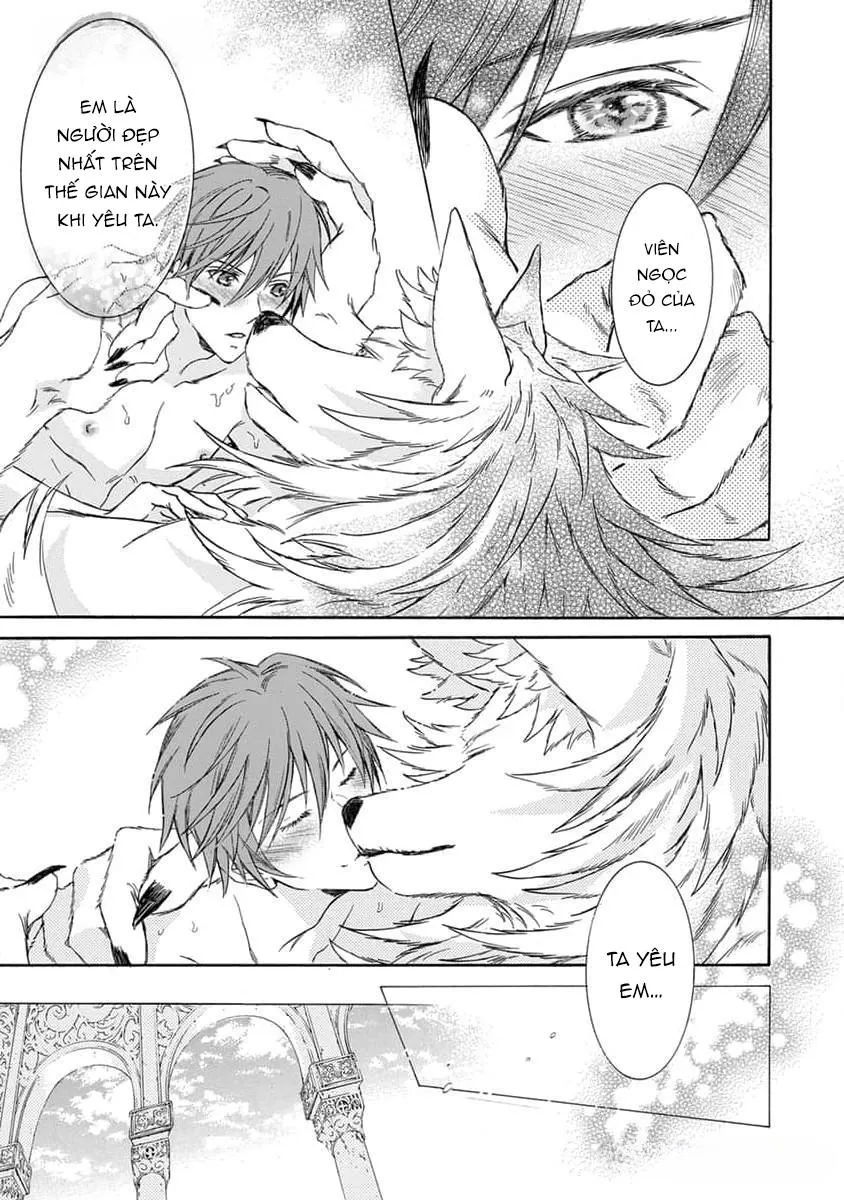 Quái thú không thể tách rời Chapter 14 Trang 16