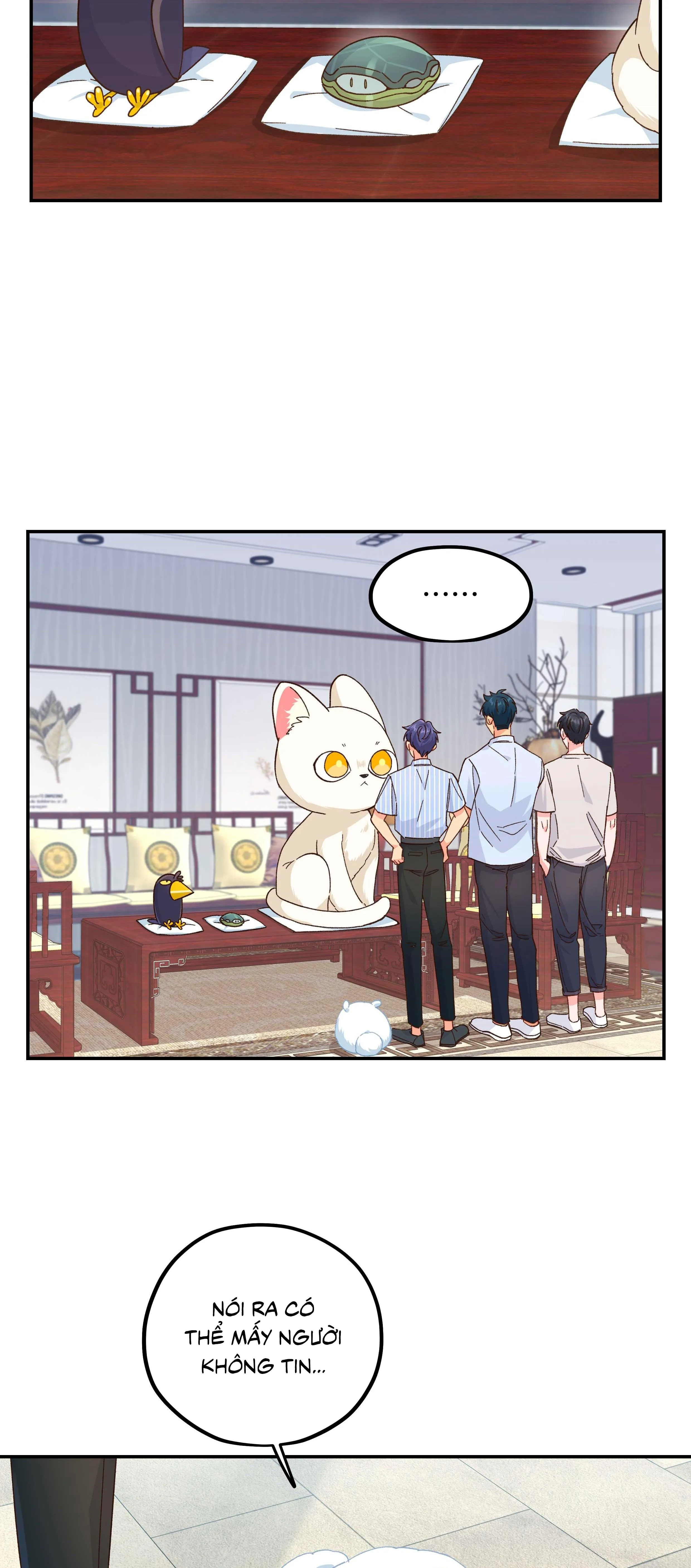 Quán cơm tỳ hưu Chapter 122 Trang 19