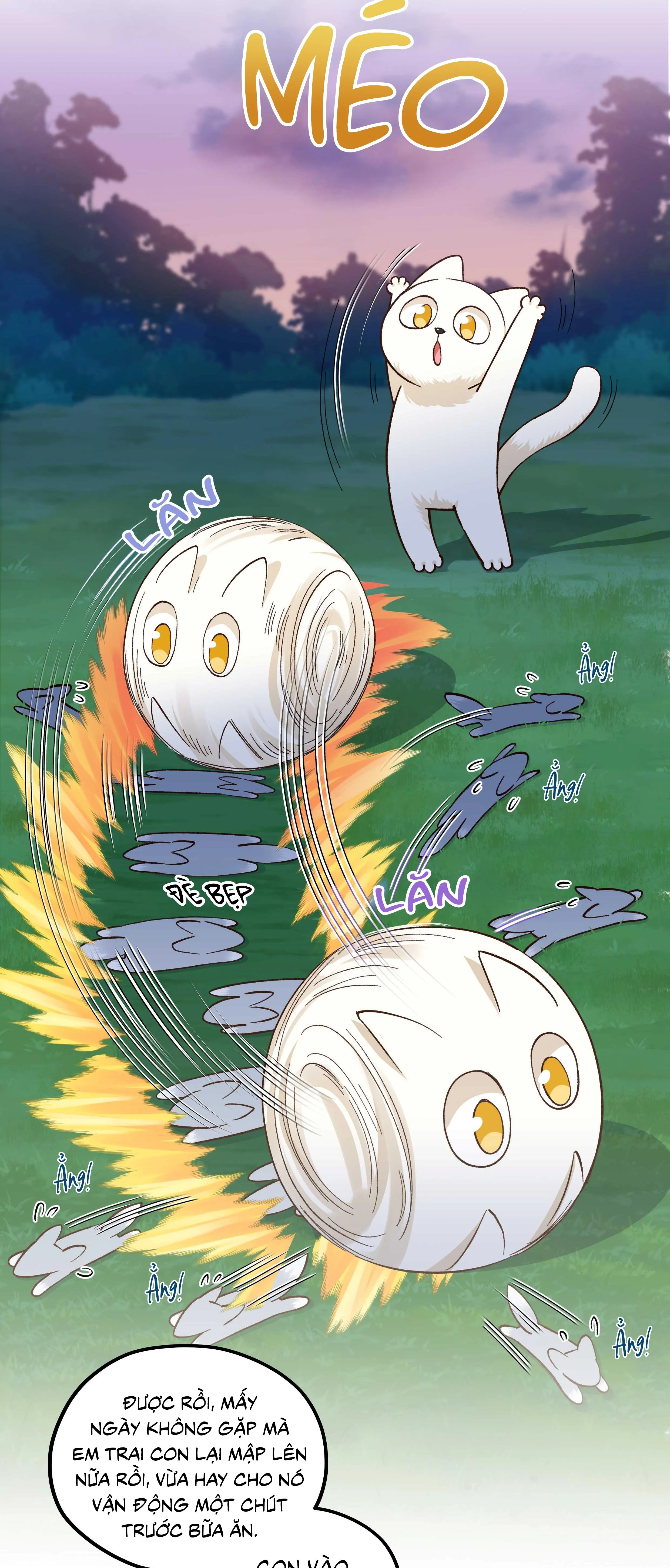 Quán cơm tỳ hưu Chapter 137 Trang 13