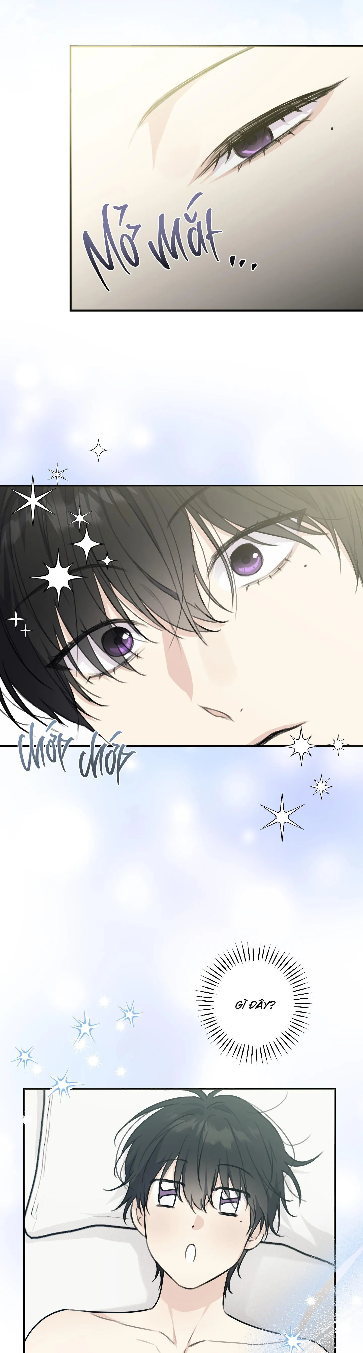 QUAN HỆ CỘNG SINH CỦA MẶT TRĂNG VÀ MẶT TRỜI Chapter 13 Trang 13