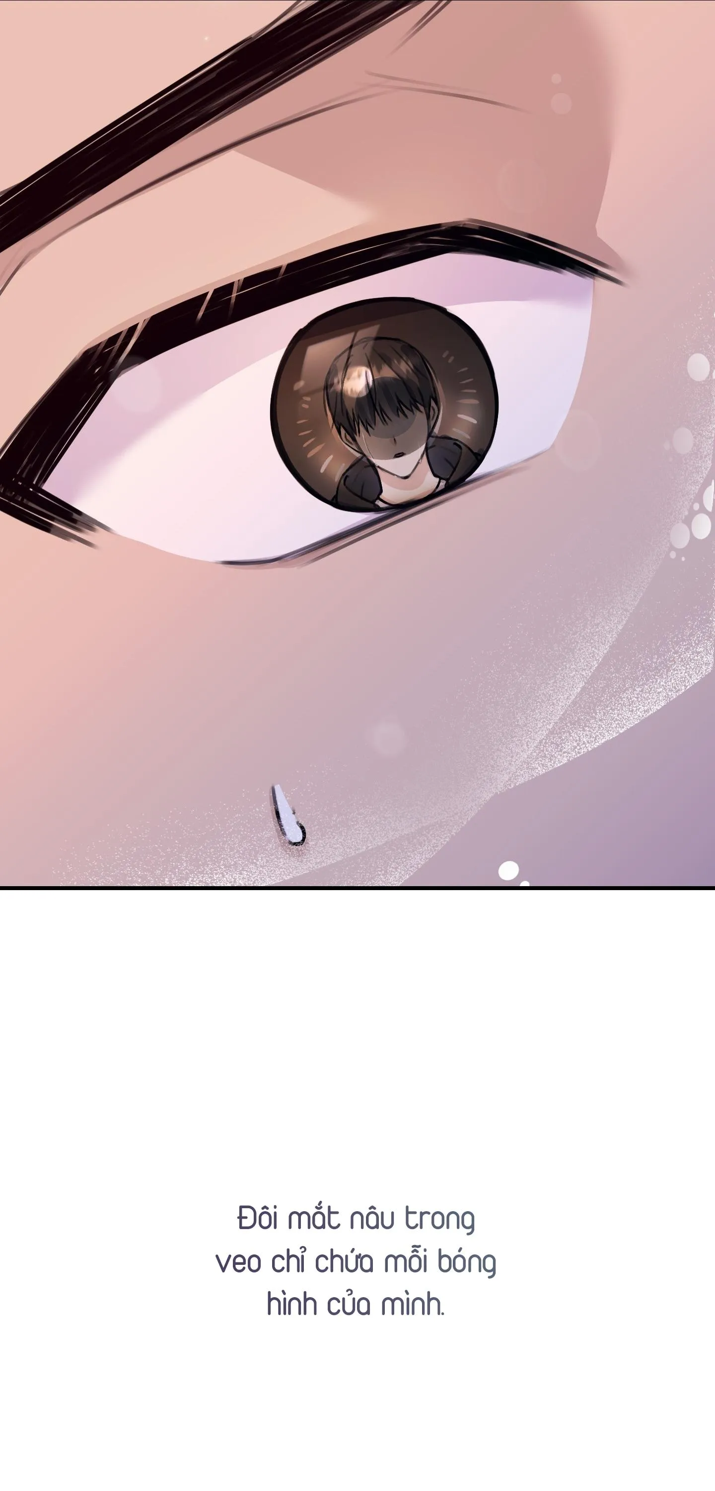 QUAN HỆ CỘNG SINH CỦA MẶT TRĂNG VÀ MẶT TRỜI Chapter 48 Trang 75