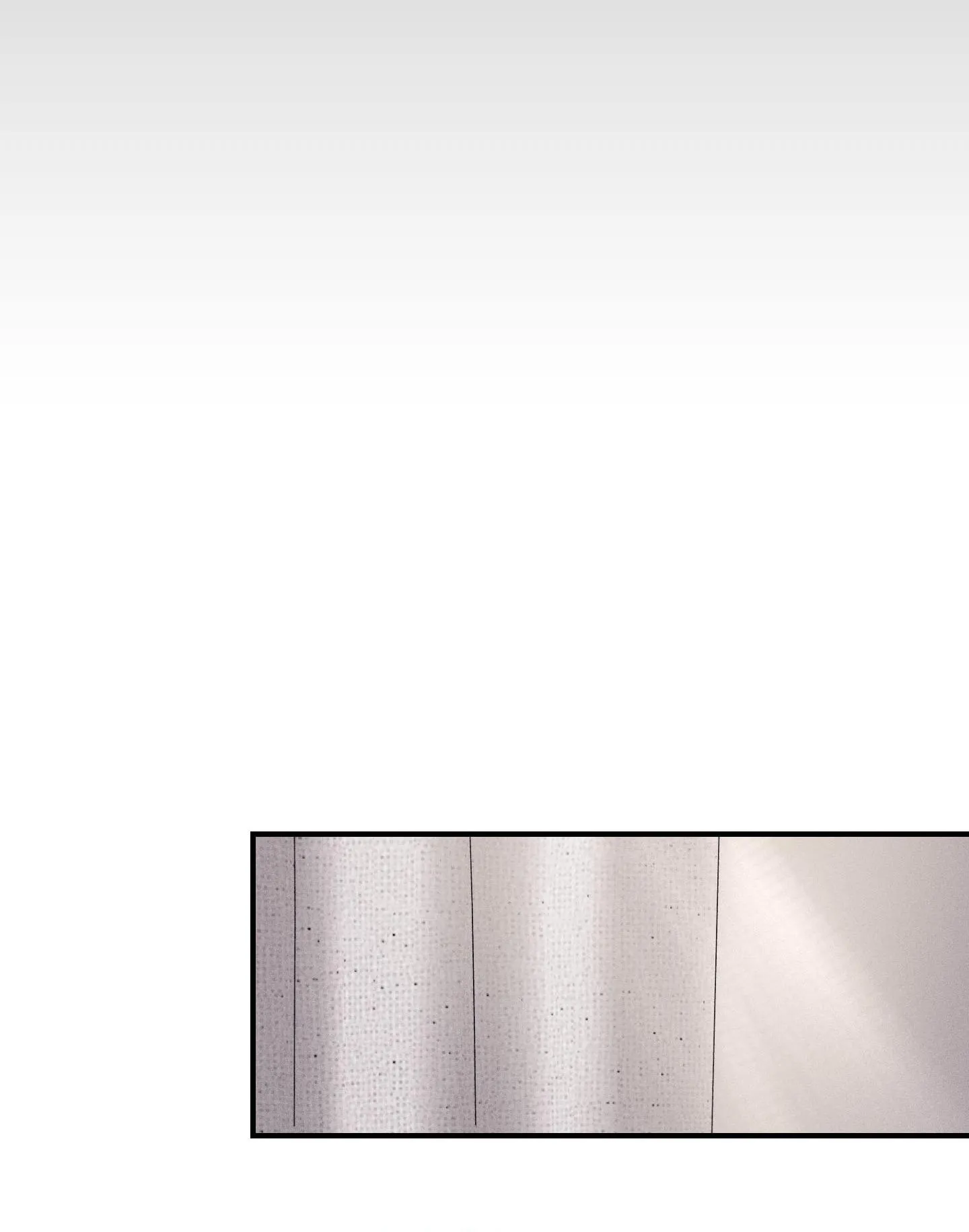 QUAN HỆ CỘNG SINH CỦA MẶT TRĂNG VÀ MẶT TRỜI Chapter 49 Trang 45