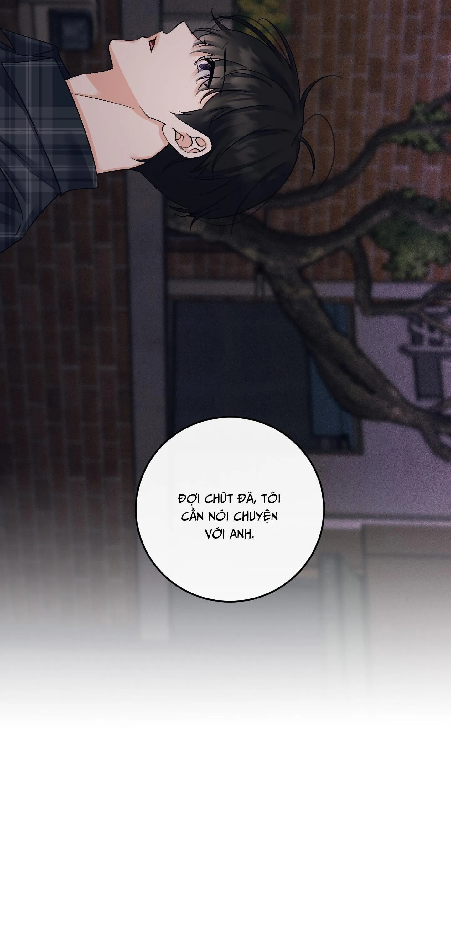 QUAN HỆ CỘNG SINH CỦA MẶT TRĂNG VÀ MẶT TRỜI Chapter 50 Trang 13