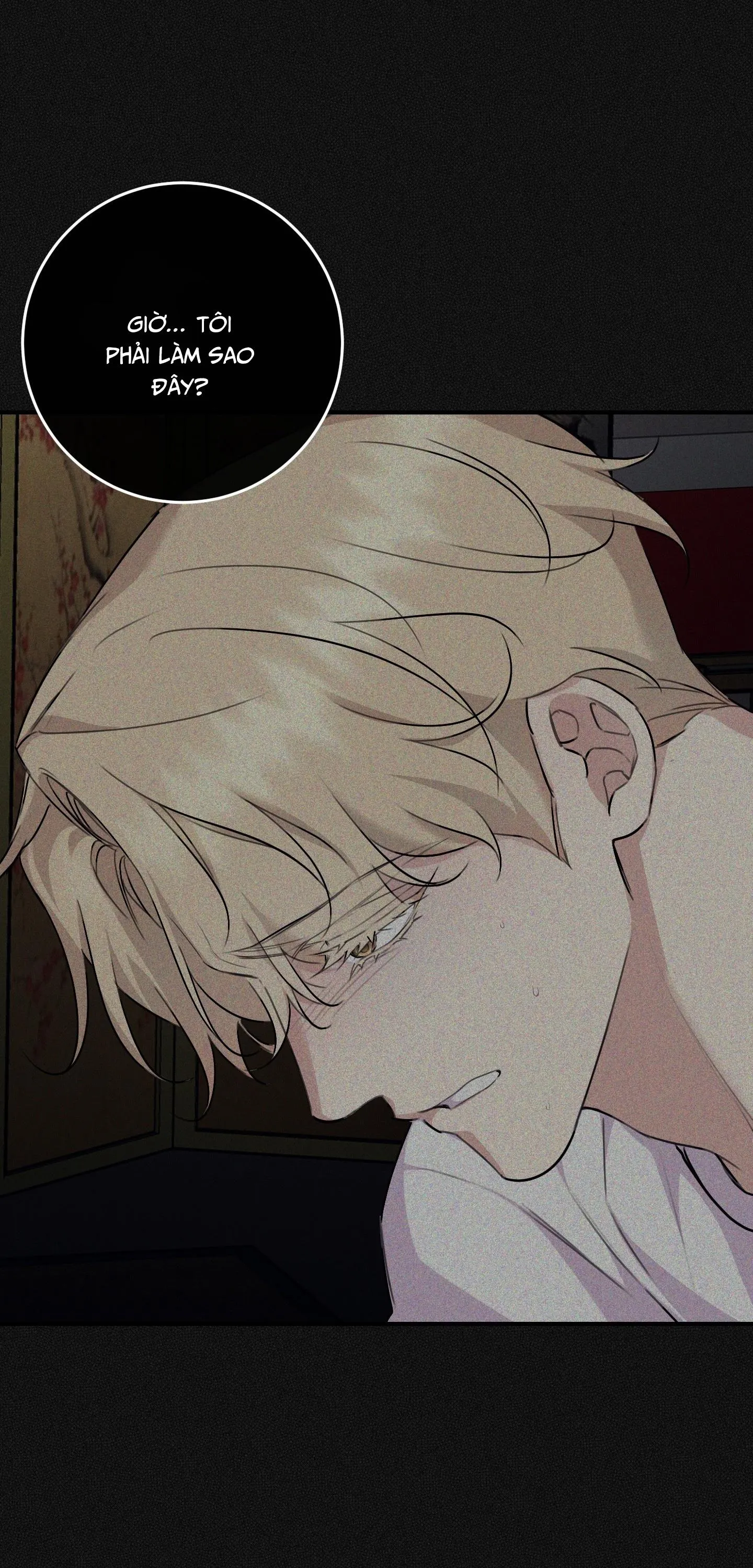 QUAN HỆ CỘNG SINH CỦA MẶT TRĂNG VÀ MẶT TRỜI Chapter 56 Trang 17