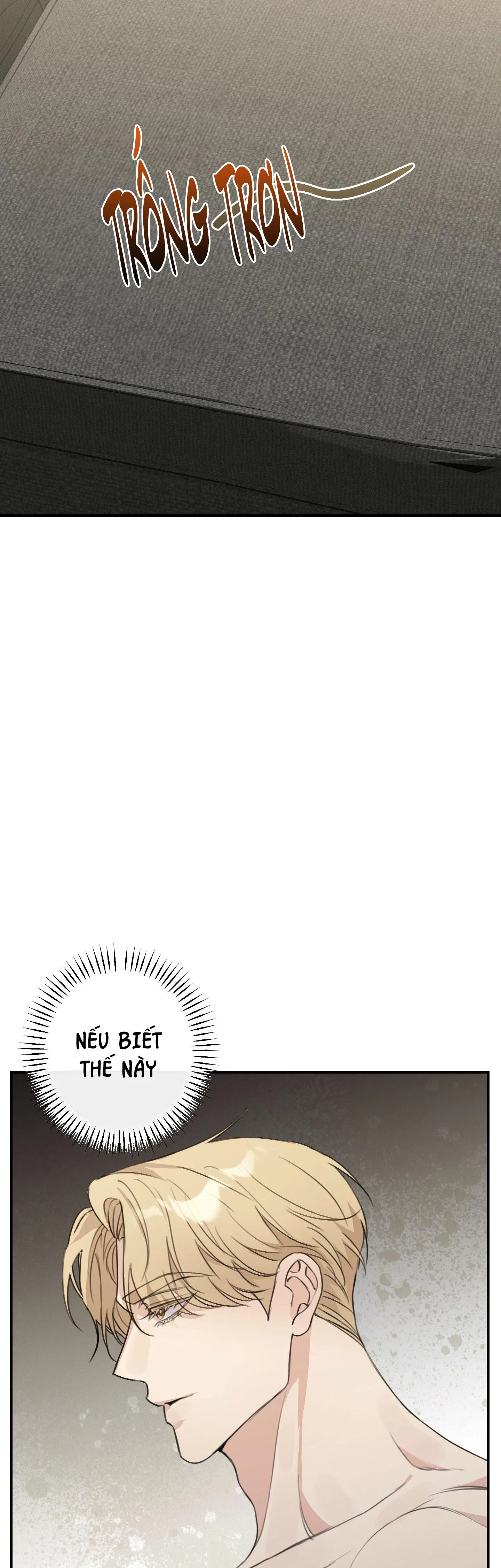 QUAN HỆ CỘNG SINH GIỮA TRỜI VÀ TRĂNG Chapter 5 Trang 33