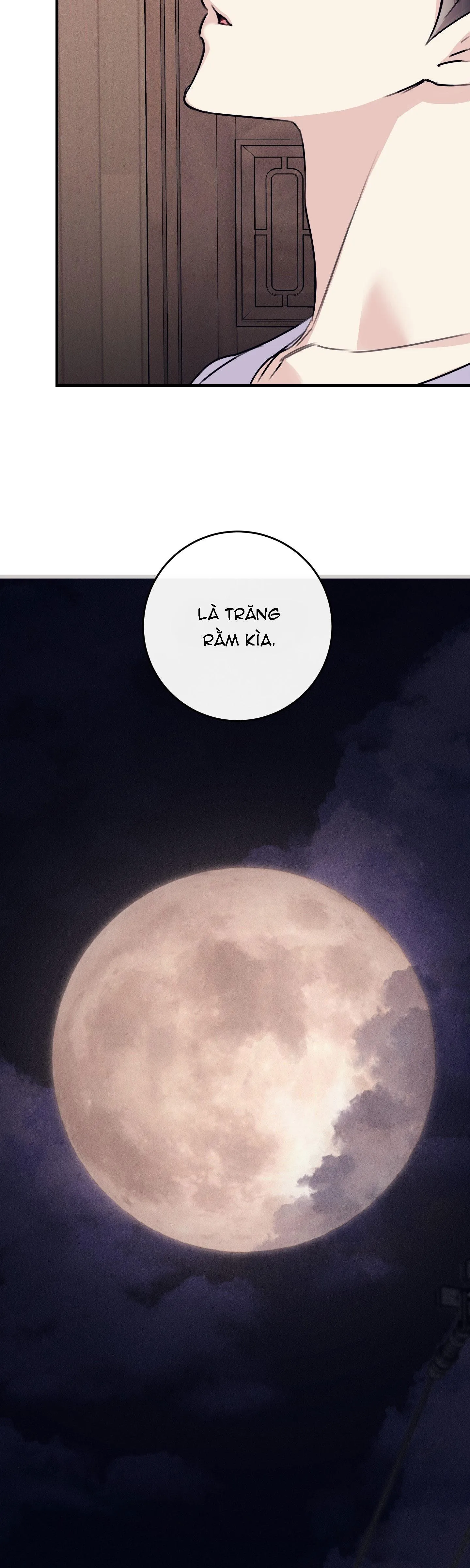 QUAN HỆ CỘNG SINH GIỮA TRỜI VÀ TRĂNG Chapter 33 Trang 11