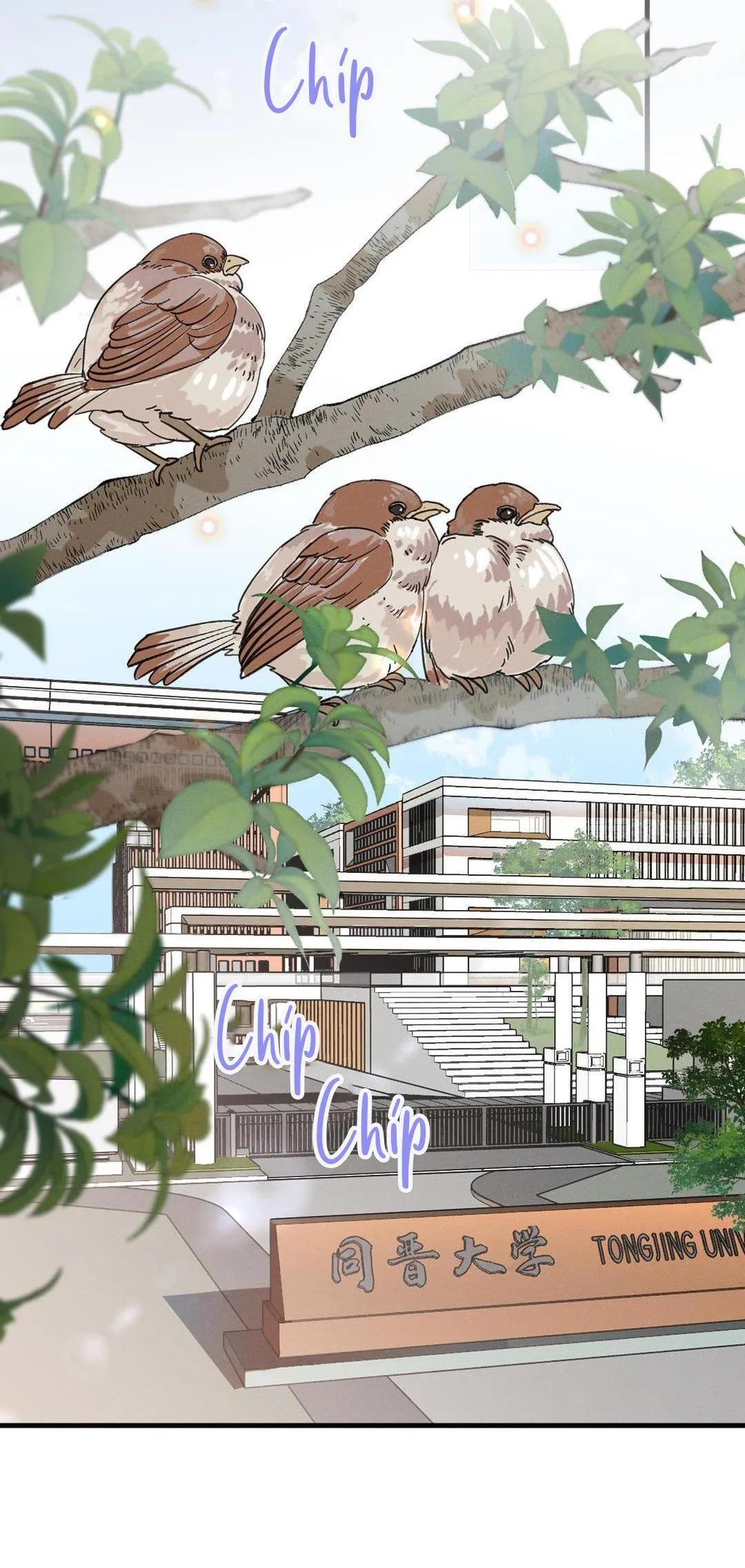 Quan Hệ Độc Hại Chapter 1 Trang 20