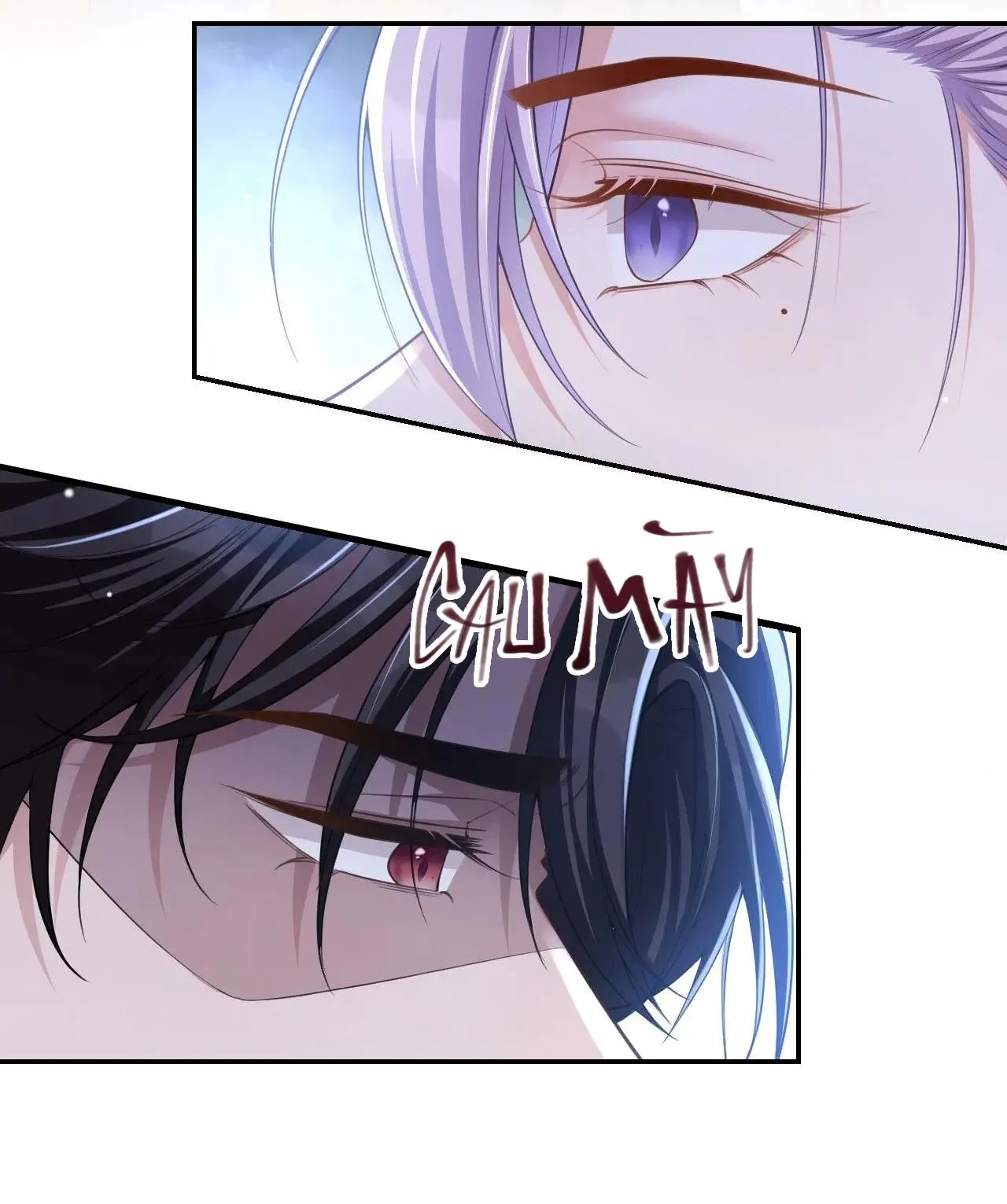 Quan hệ thế thân Chapter 50 Trang 5