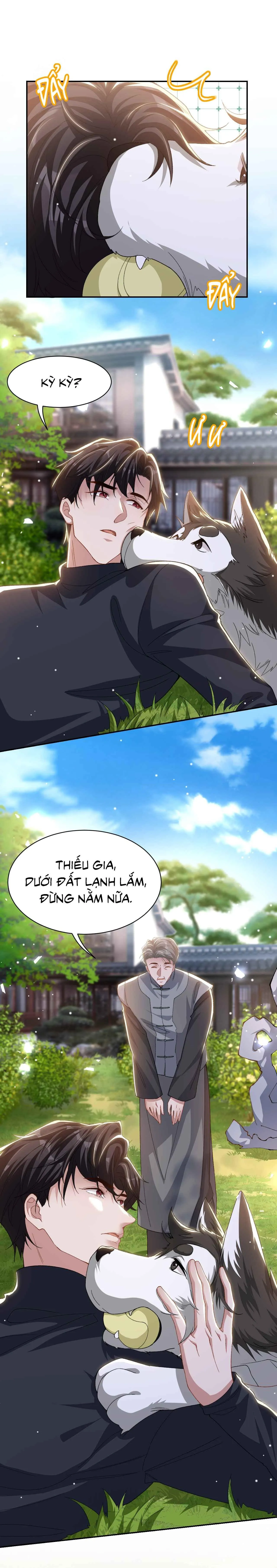 Quan hệ thế thân Chapter 184 Trang 18