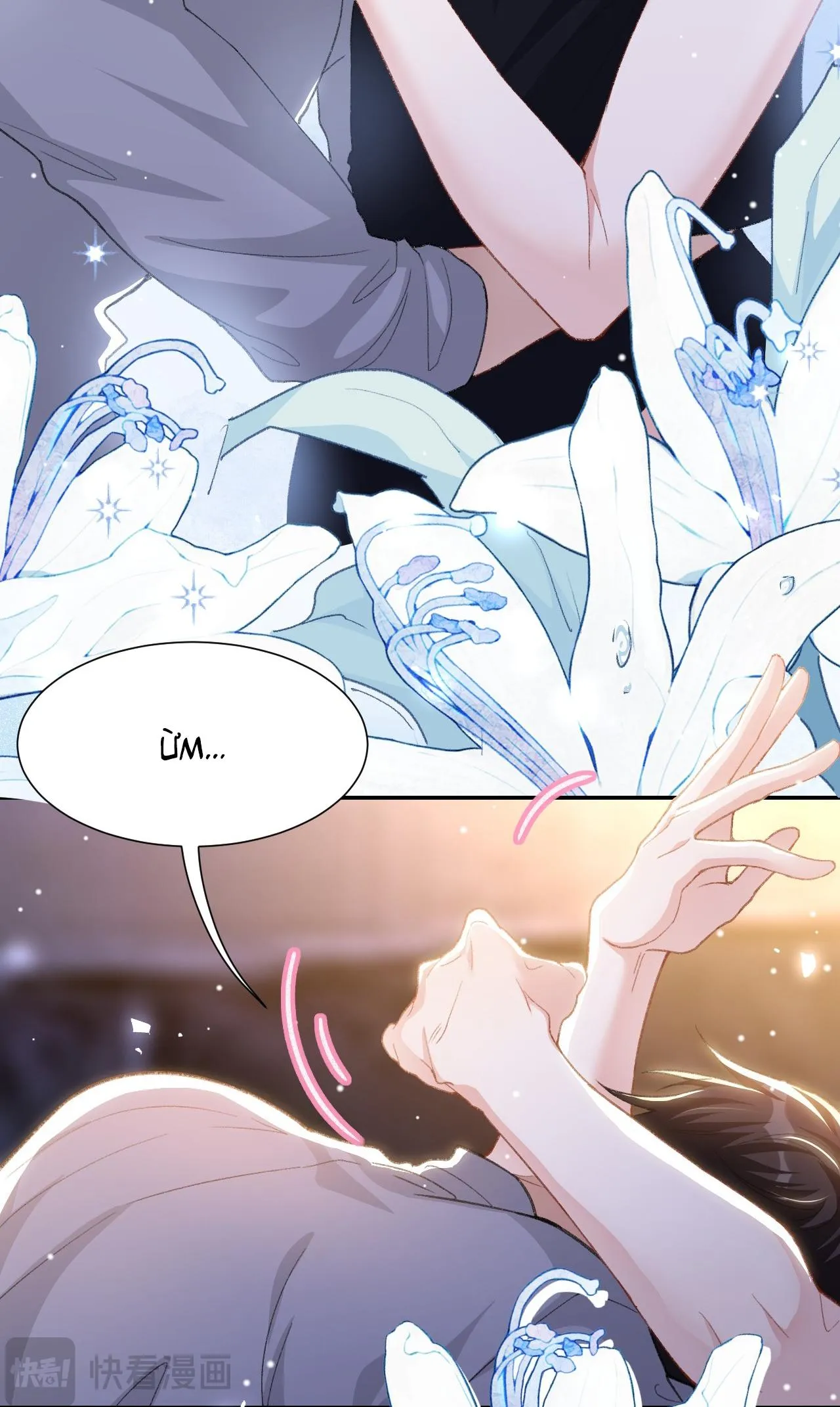 Quan hệ thế thân Chapter 215 Trang 13