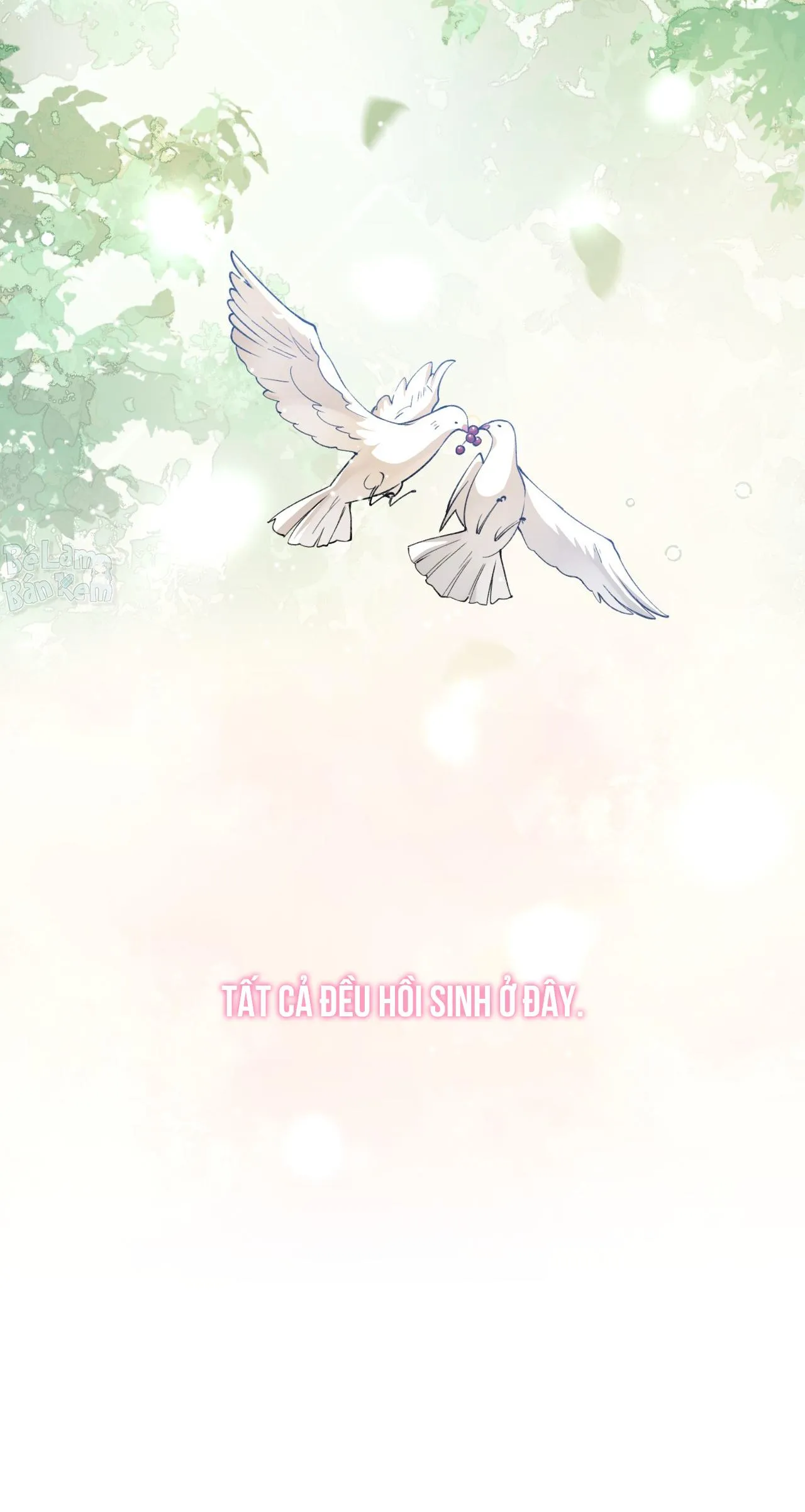 Quan hệ thế thân Chapter 222 Trang 24