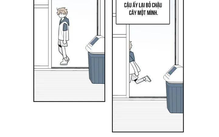 Quản Lý Của Park Hanhoo Chapter 1 Trang 4