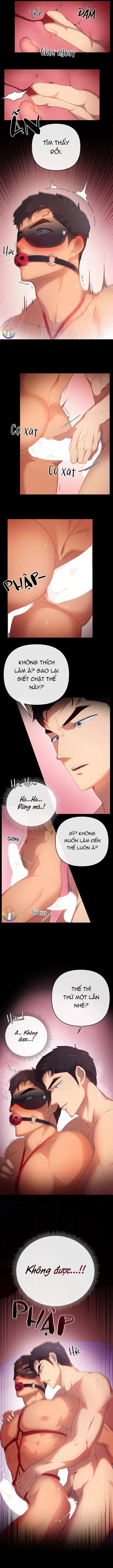 Quay GV thôi! (END) Chapter 2 Trang 11