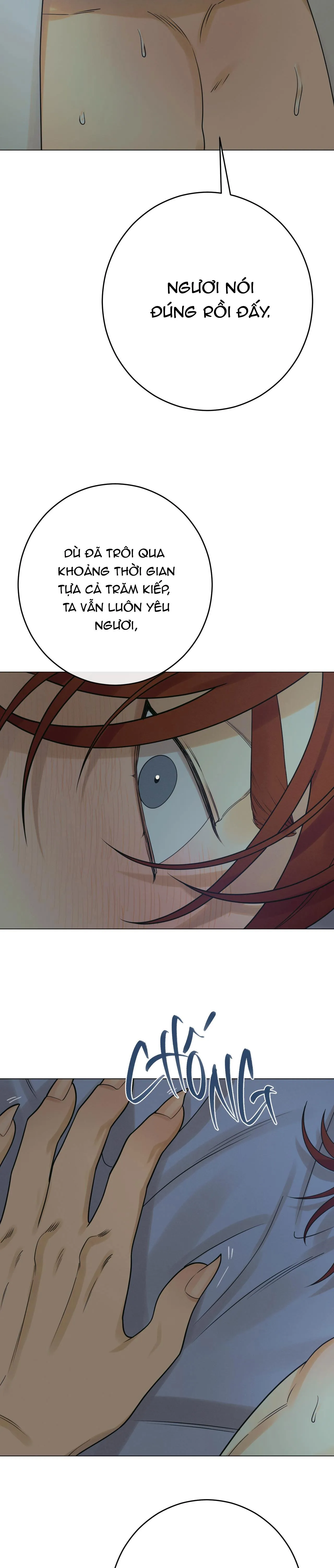 QUẺ BÓI GIẤC MƠ CỦA YÊU TINH Chapter 25 Trang 12