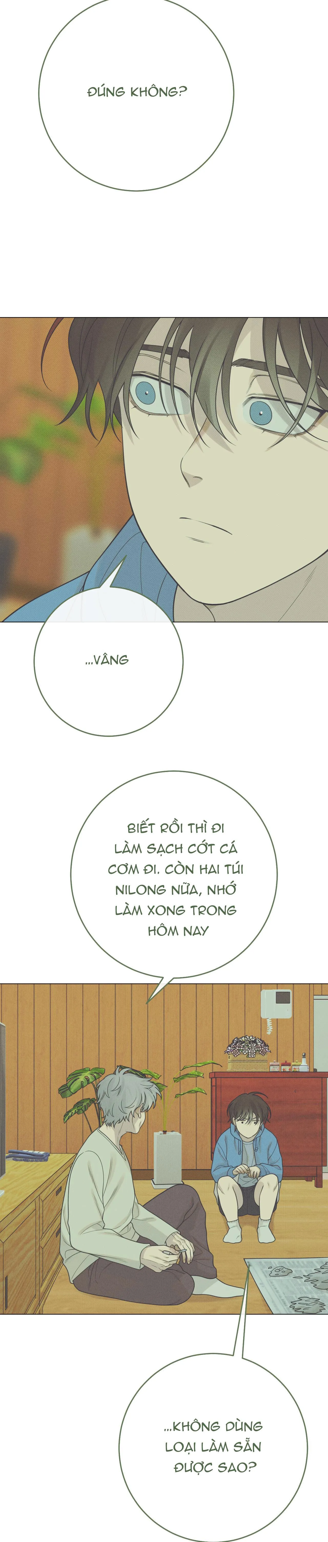 QUẺ BÓI GIẤC MƠ CỦA YÊU TINH Chapter 27 Trang 21