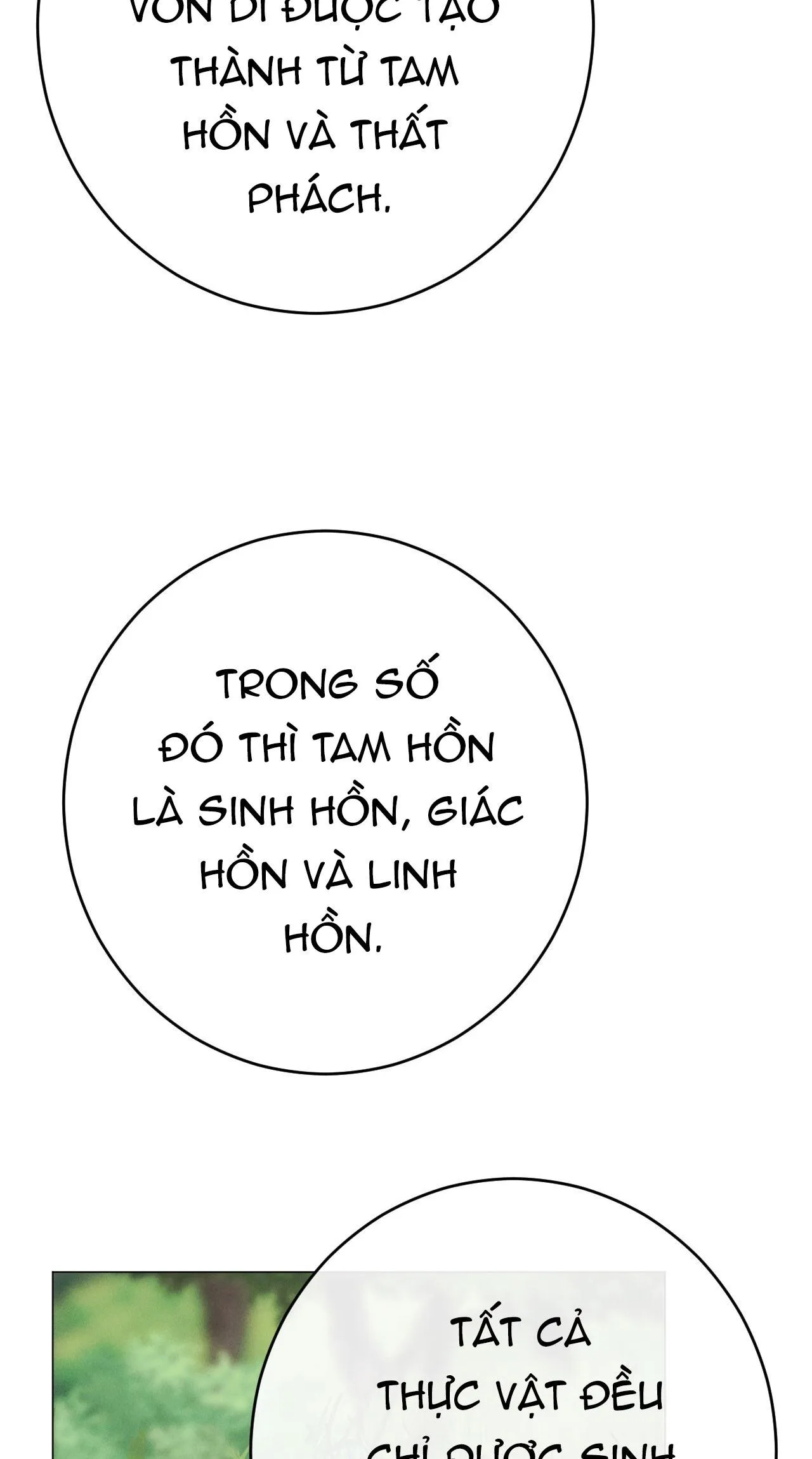 QUẺ BÓI GIẤC MƠ CỦA YÊU TINH Chapter 58 Trang 9