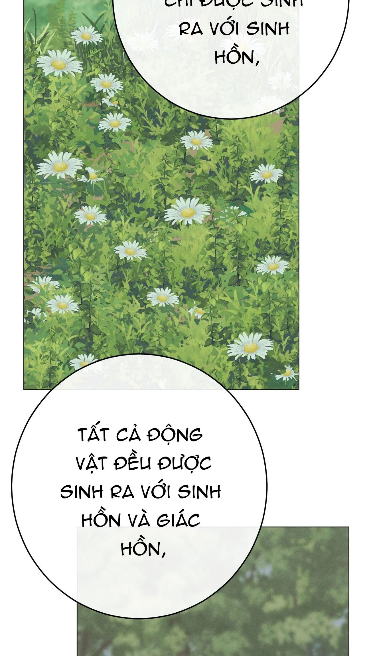 QUẺ BÓI GIẤC MƠ CỦA YÊU TINH Chapter 58 Trang 10
