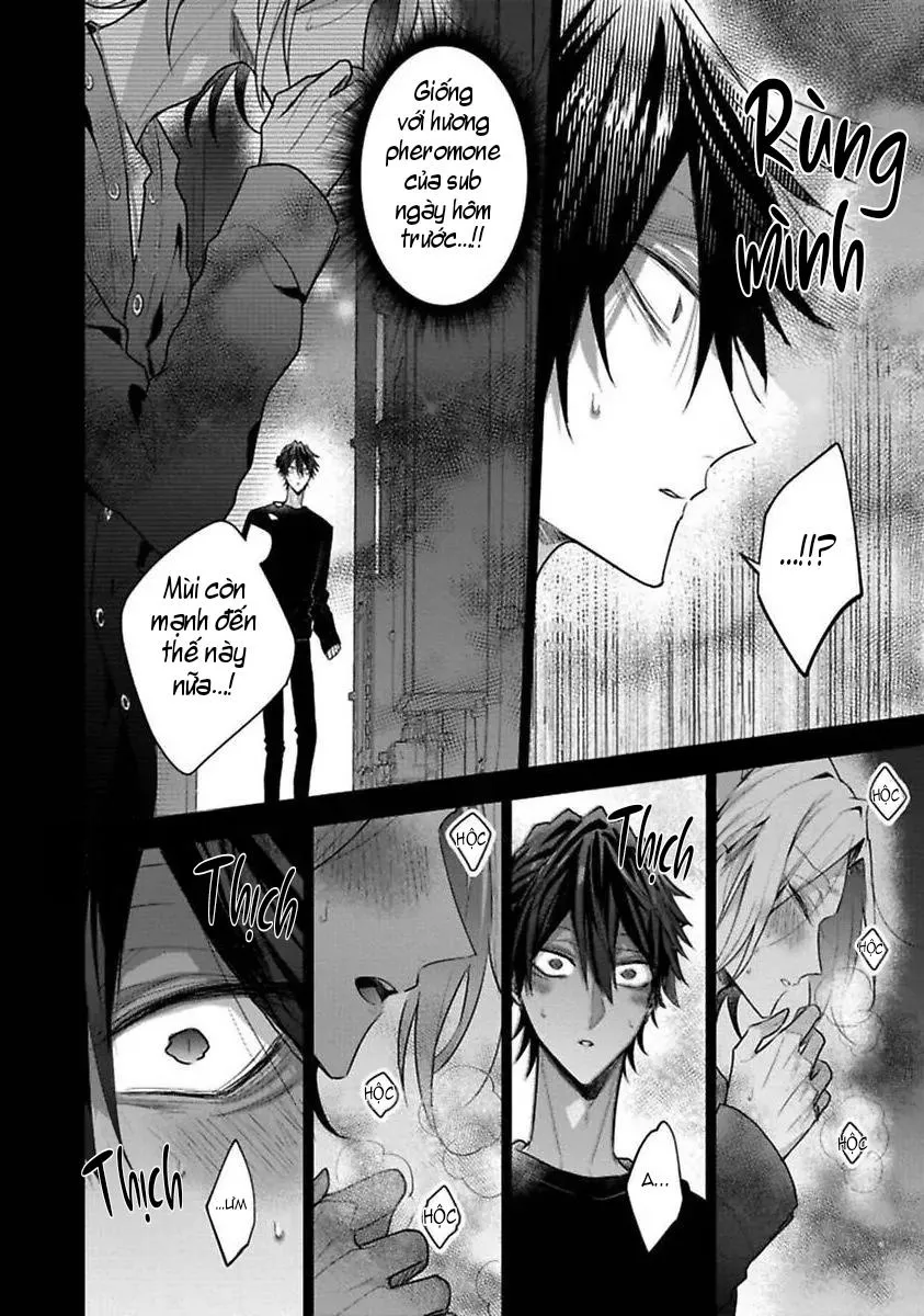 Quý Ngài Sub, Đến Giờ Huấn Luyện Rồi Chapter 7 Trang 8