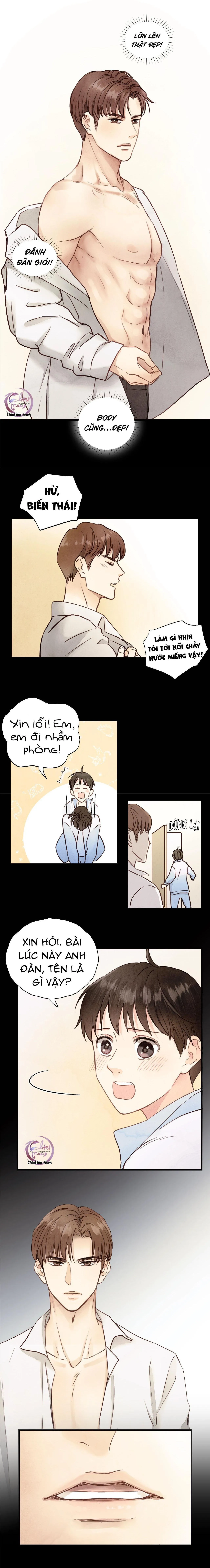 Quy Tắc Nuôi Sói Chapter 8 Trang 8