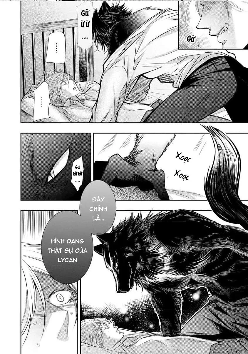 Quý Tộc Bị Cầm Tù Bởi Tử Tước Sói Đen Chapter 1 Trang 28