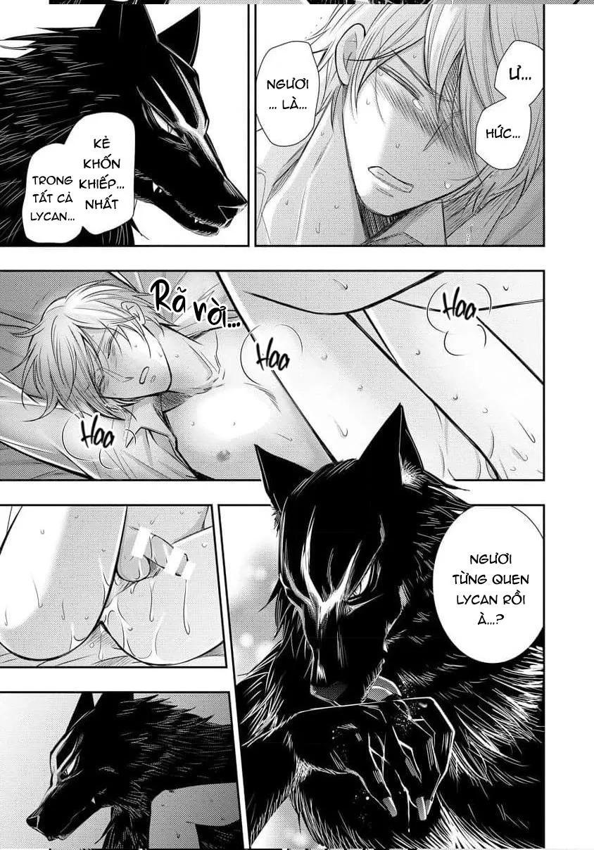 Quý Tộc Bị Cầm Tù Bởi Tử Tước Sói Đen Chapter 1 Trang 31