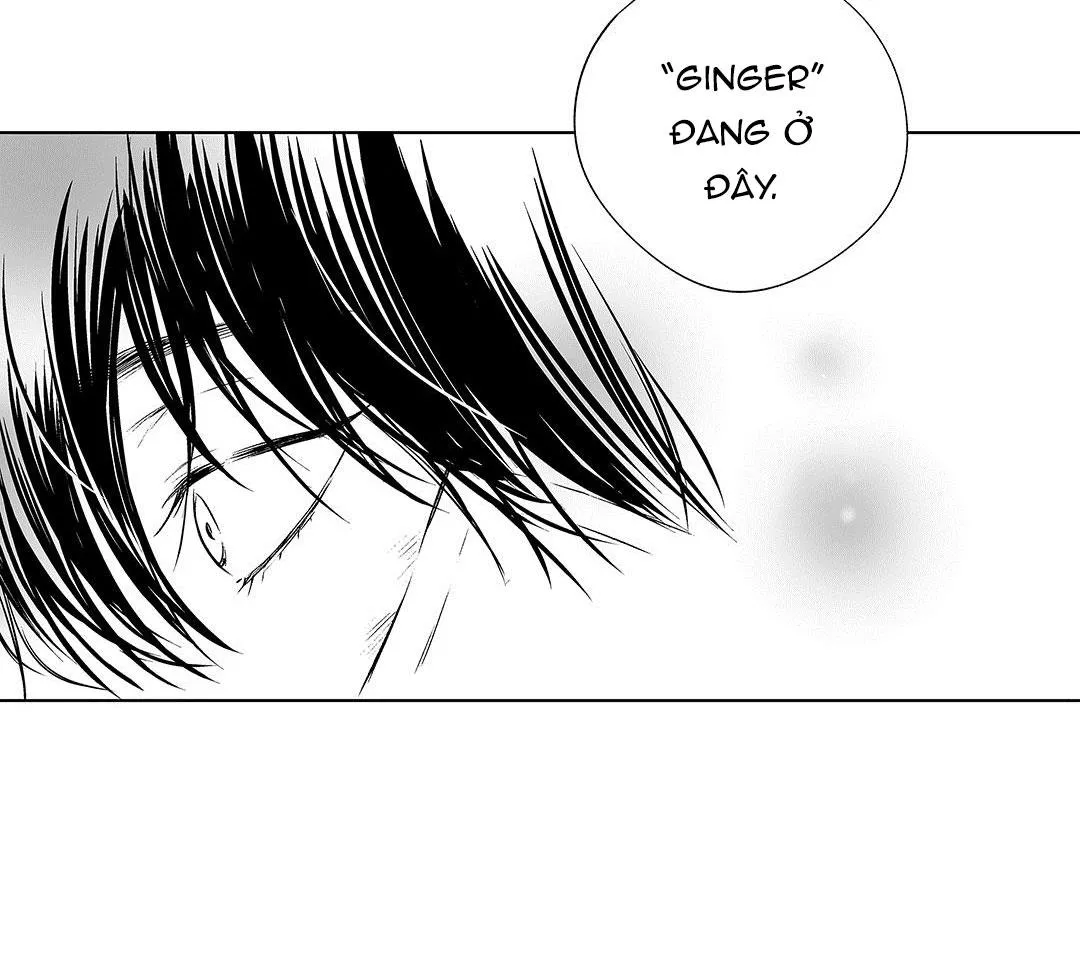 Nhiễu Sóng Chapter 2 Trang 34