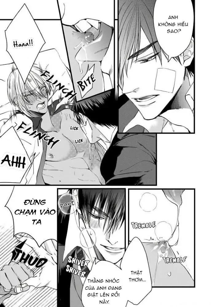 Vua Alpha Sa Ngã Chapter 2 Trang 4