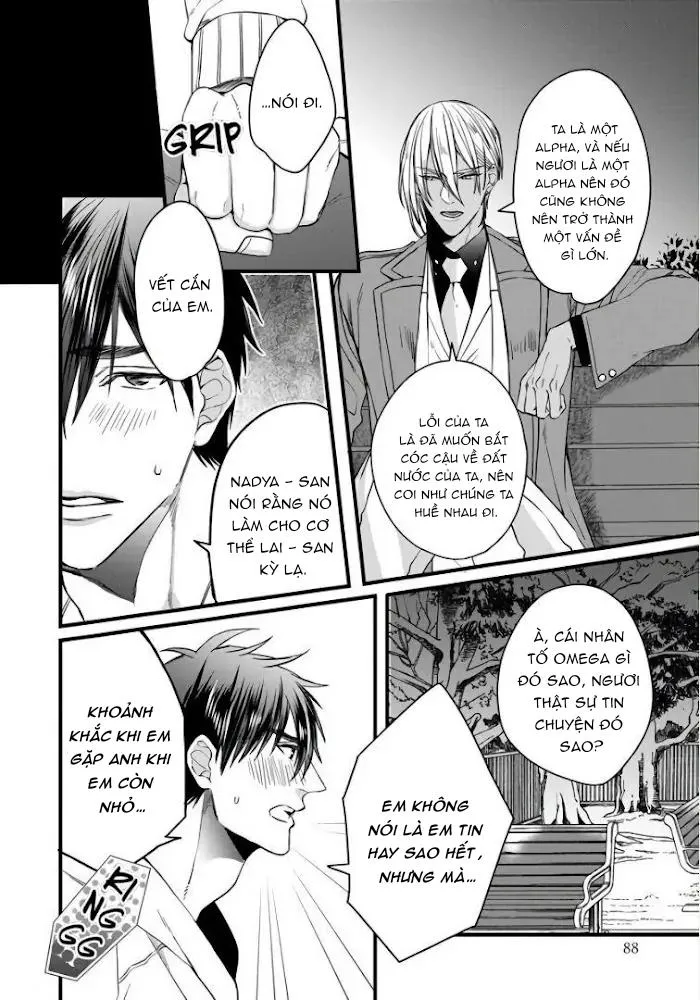 Vua Alpha Sa Ngã Chapter 3 Trang 16