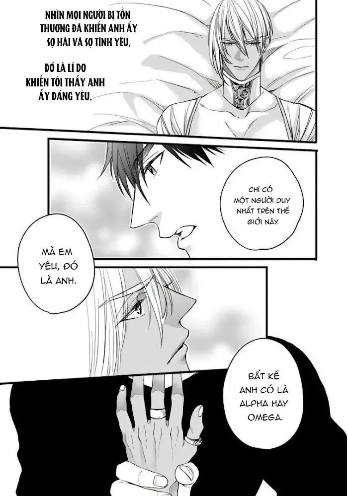 Vua Alpha Sa Ngã Chapter 5 Trang 24