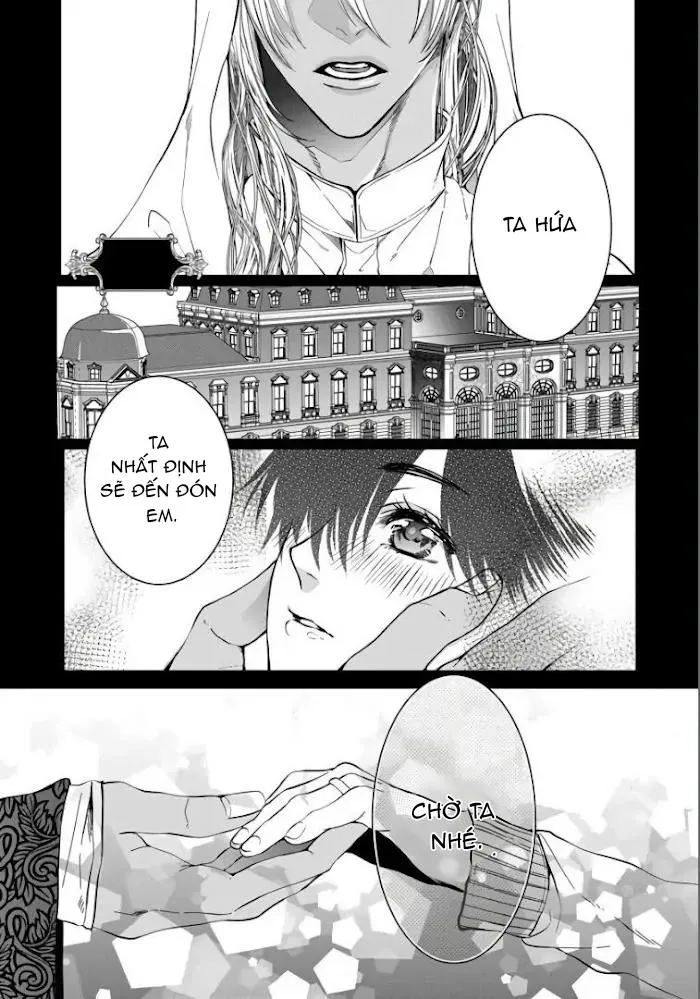 Vua Alpha Sa Ngã Chapter 1 Trang 5