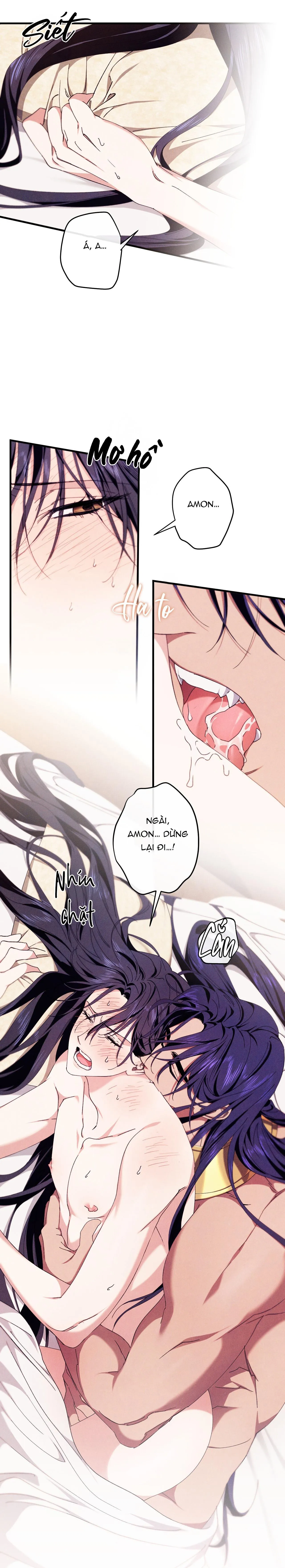 RẮN NUỐT LỰU Chapter 6 Trang 17