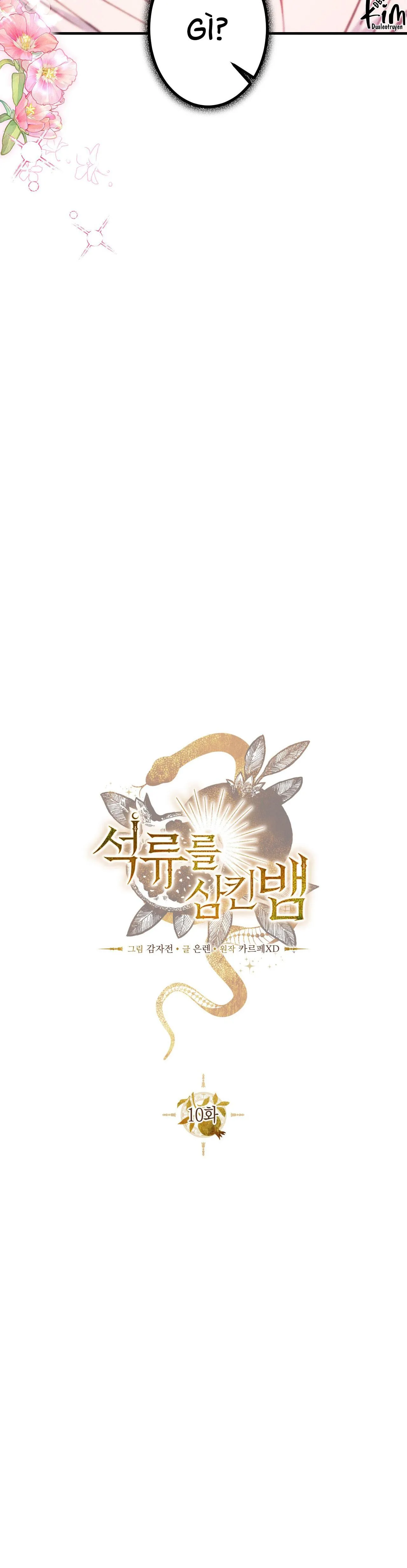 RẮN NUỐT LỰU Chapter 10 Trang 14