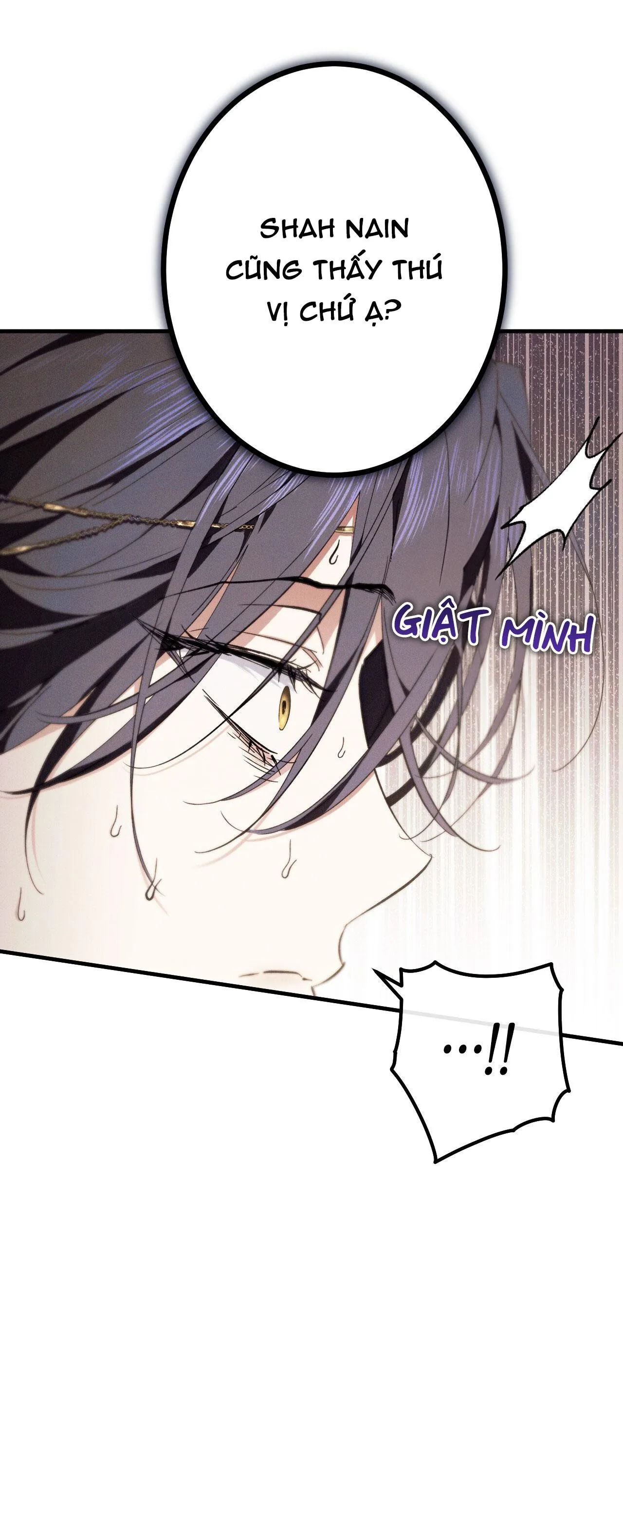 RẮN NUỐT LỰU Chapter 12 Trang 9