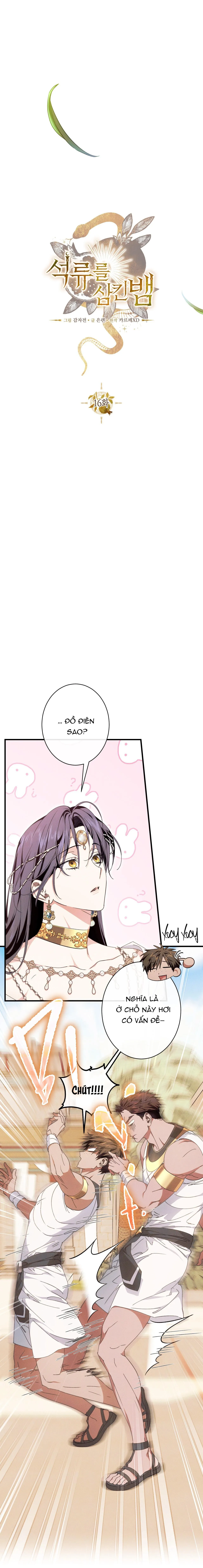 RẮN NUỐT LỰU Chapter 16 Trang 7