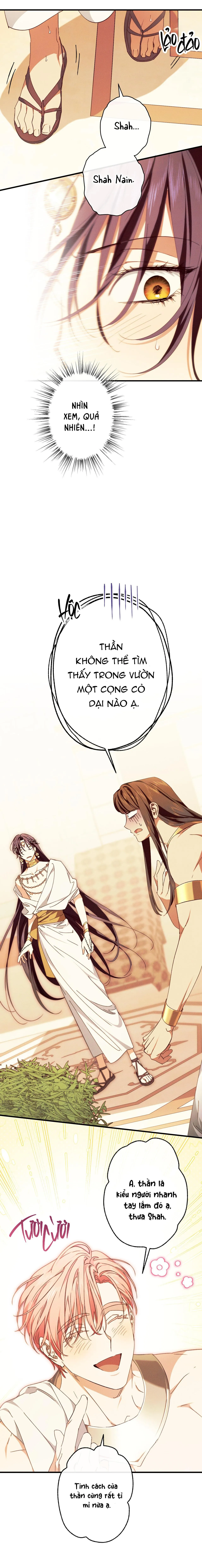 RẮN NUỐT LỰU Chapter 16 Trang 14