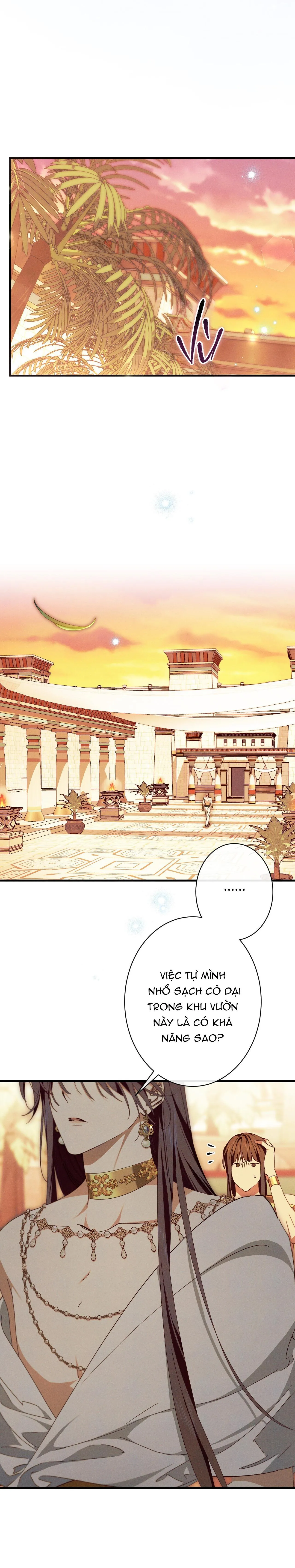 RẮN NUỐT LỰU Chapter 16 Trang 16