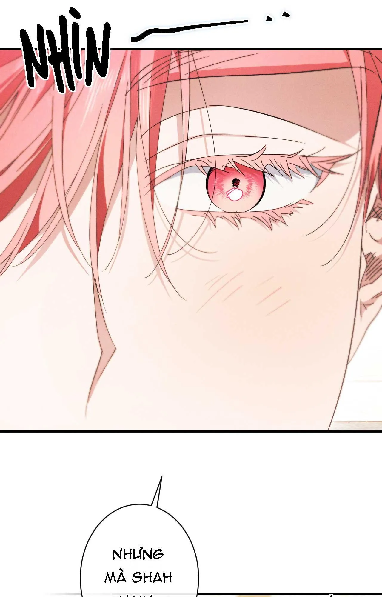 RẮN NUỐT LỰU Chapter 17 Trang 24