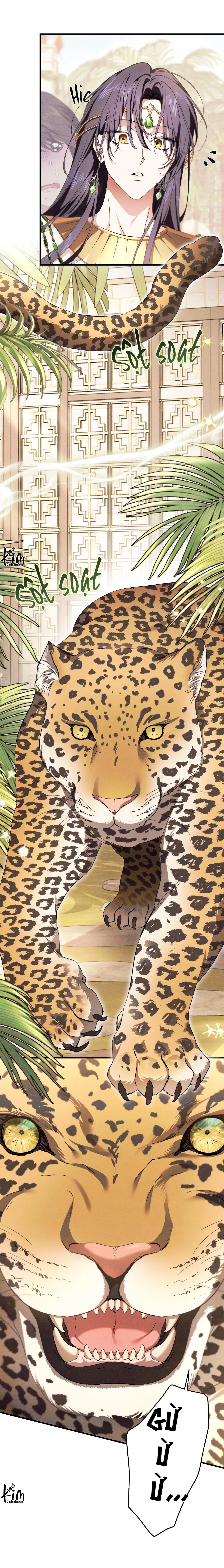 RẮN NUỐT LỰU Chapter 23 Trang 10