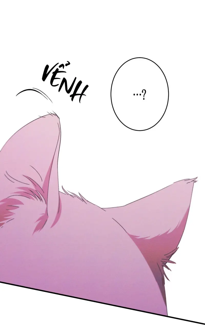 RẮN NUỐT LỰU Chapter 27 Trang 53