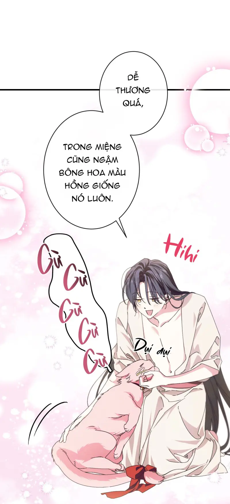 RẮN NUỐT LỰU Chapter 27 Trang 58