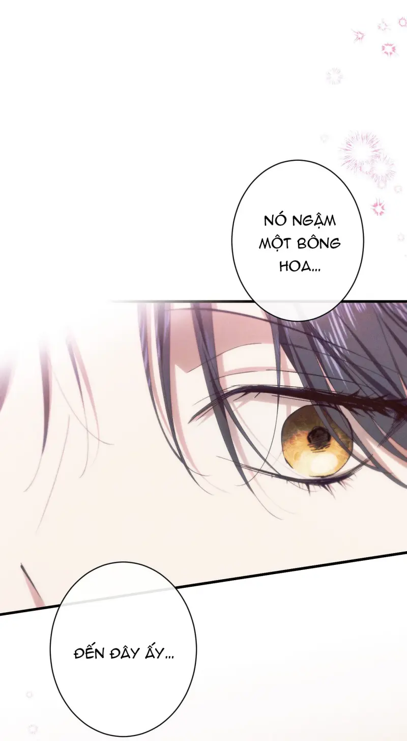 RẮN NUỐT LỰU Chapter 27 Trang 68