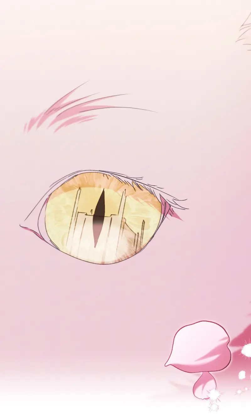 RẮN NUỐT LỰU Chapter 27 Trang 72