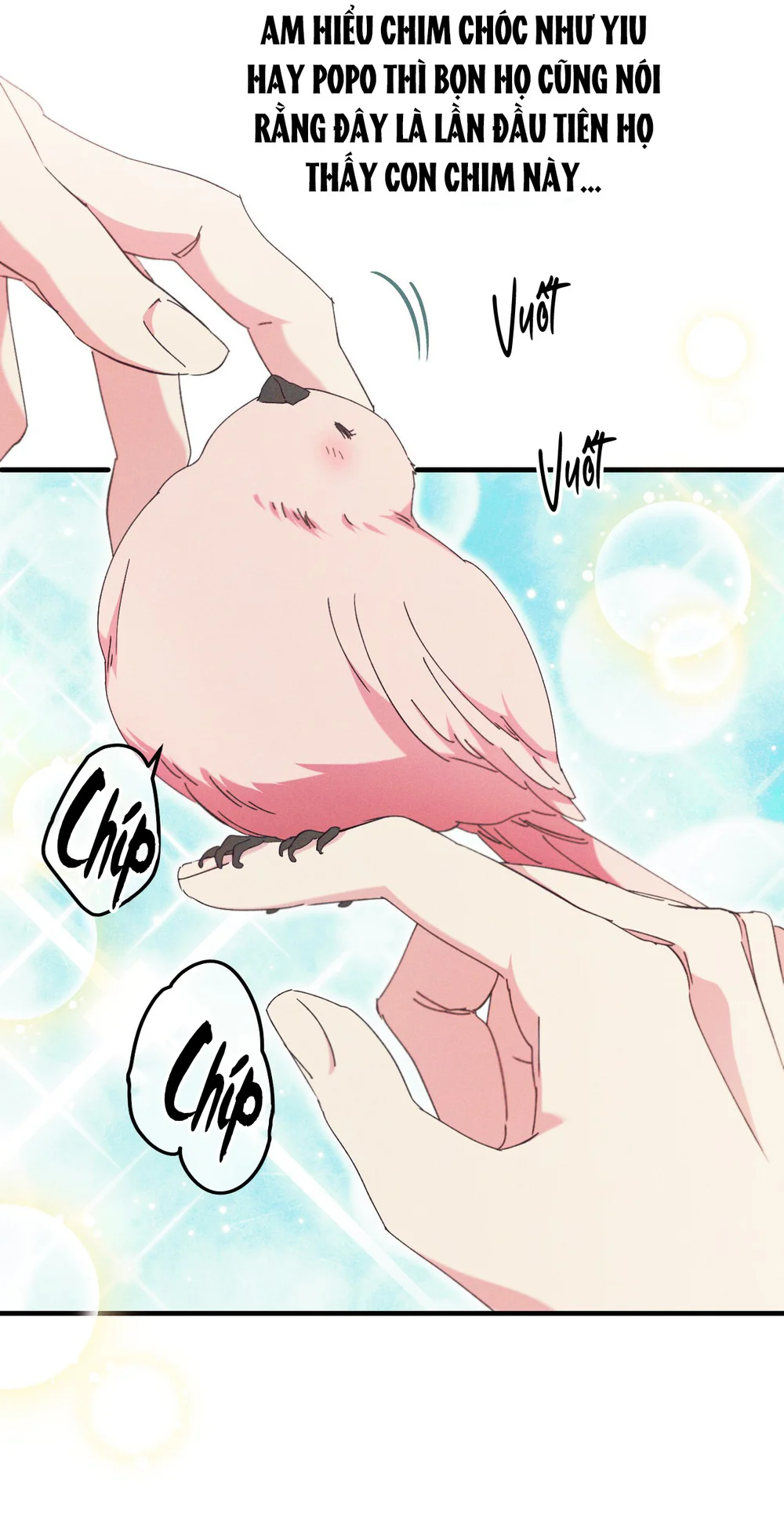 RẮN NUỐT LỰU Chapter 28 Trang 23